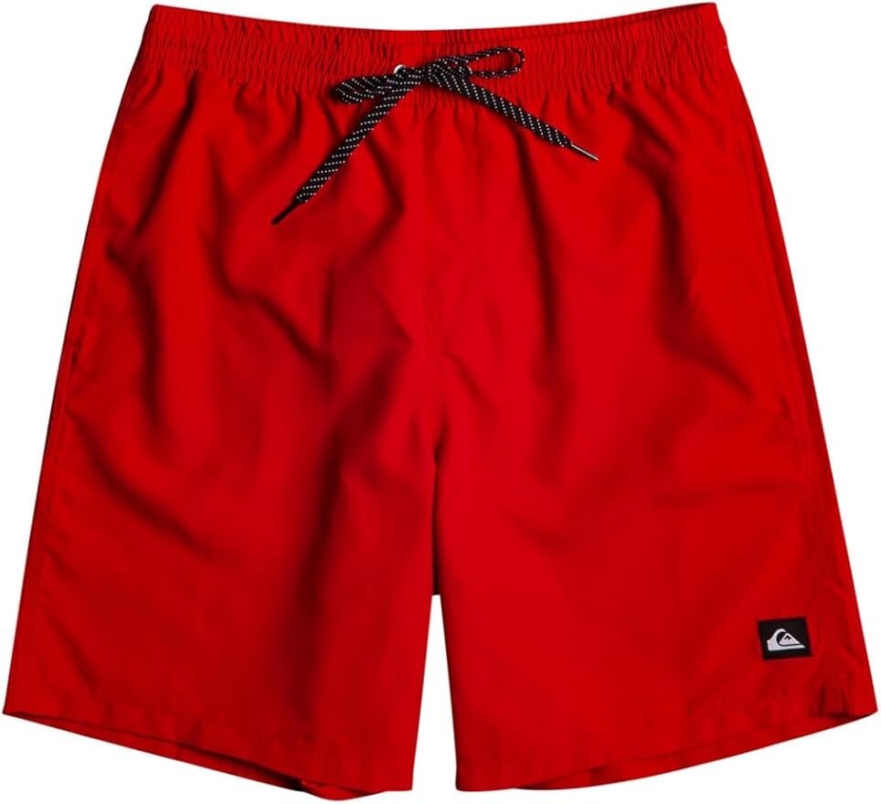 Quiksilver Men's Everyday Volley 15" Swim Shorts Swimsuit Swimming Costume BNWT
