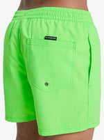 Quiksilver Men's Everyday Volley 15" Swim Shorts Swimsuit Swimming Costume BNWT