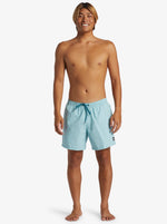 Quiksilver Men's Deluxe Volley 15" Swim Shorts Swimming Costume Swimsuit BNWT