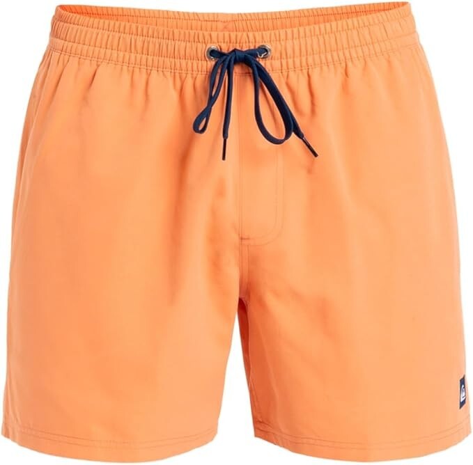 Quiksilver Men's Everyday Volley 15" Swim Shorts Swimsuit Swimming Costume BNWT