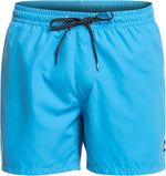 Quiksilver Men's Everyday Volley 15" Swim Shorts Swimsuit Swimming Costume BNWT