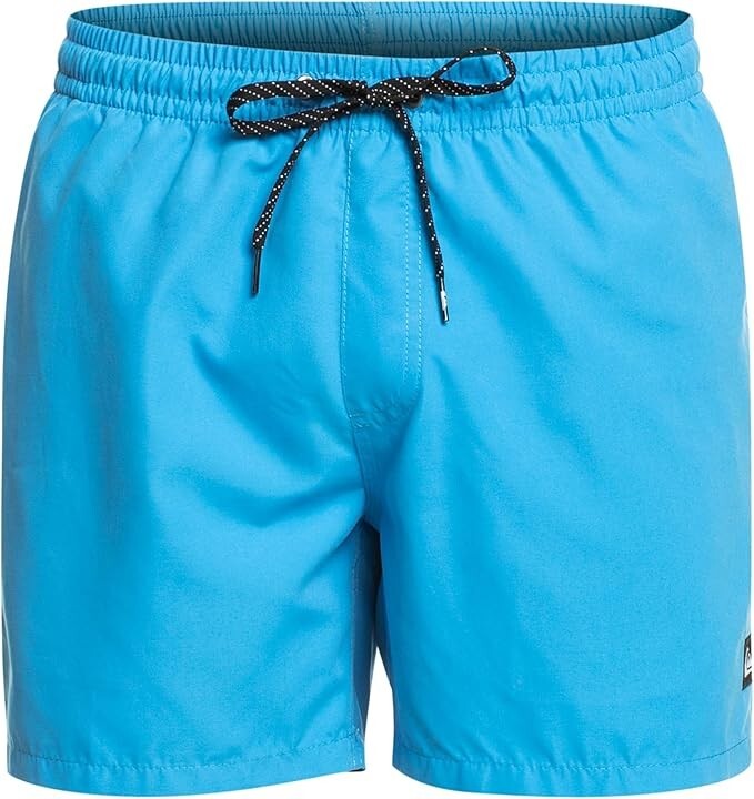 Quiksilver Men's Everyday Volley 15" Swim Shorts Swimsuit Swimming Costume BNWT