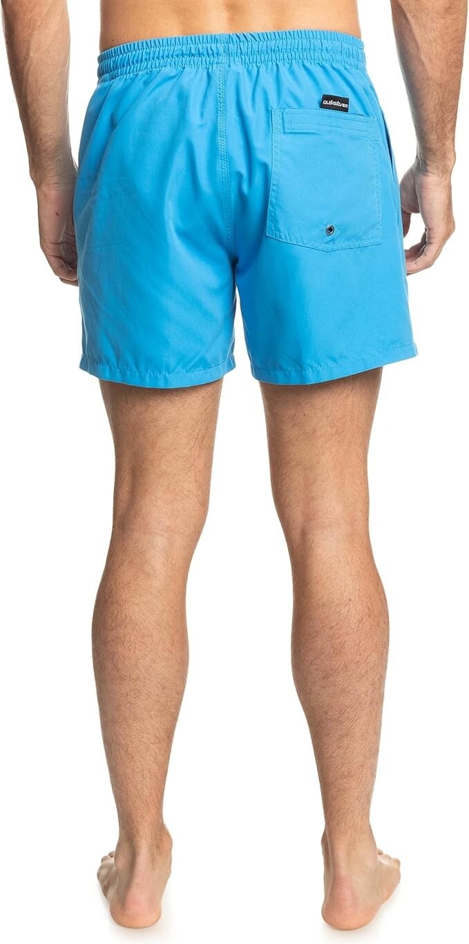 Quiksilver Men's Everyday Volley 15" Swim Shorts Swimsuit Swimming Costume BNWT