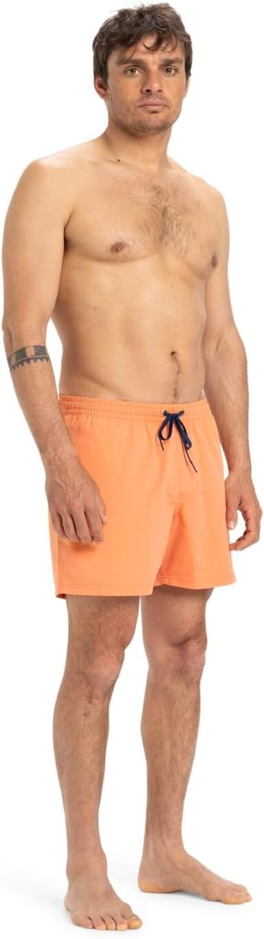 Quiksilver Men's Everyday Volley 15" Swim Shorts Swimsuit Swimming Costume BNWT