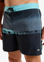 Quiksilver Men's Everyday Half Jam 16" Swim Shorts Swimming Costume Swimsuit