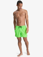 Quiksilver Men's Everyday Volley 15" Swim Shorts Swimsuit Swimming Costume BNWT