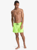 Quiksilver Men's Everyday Volley 15" Swim Shorts Swimsuit Swimming Costume BNWT