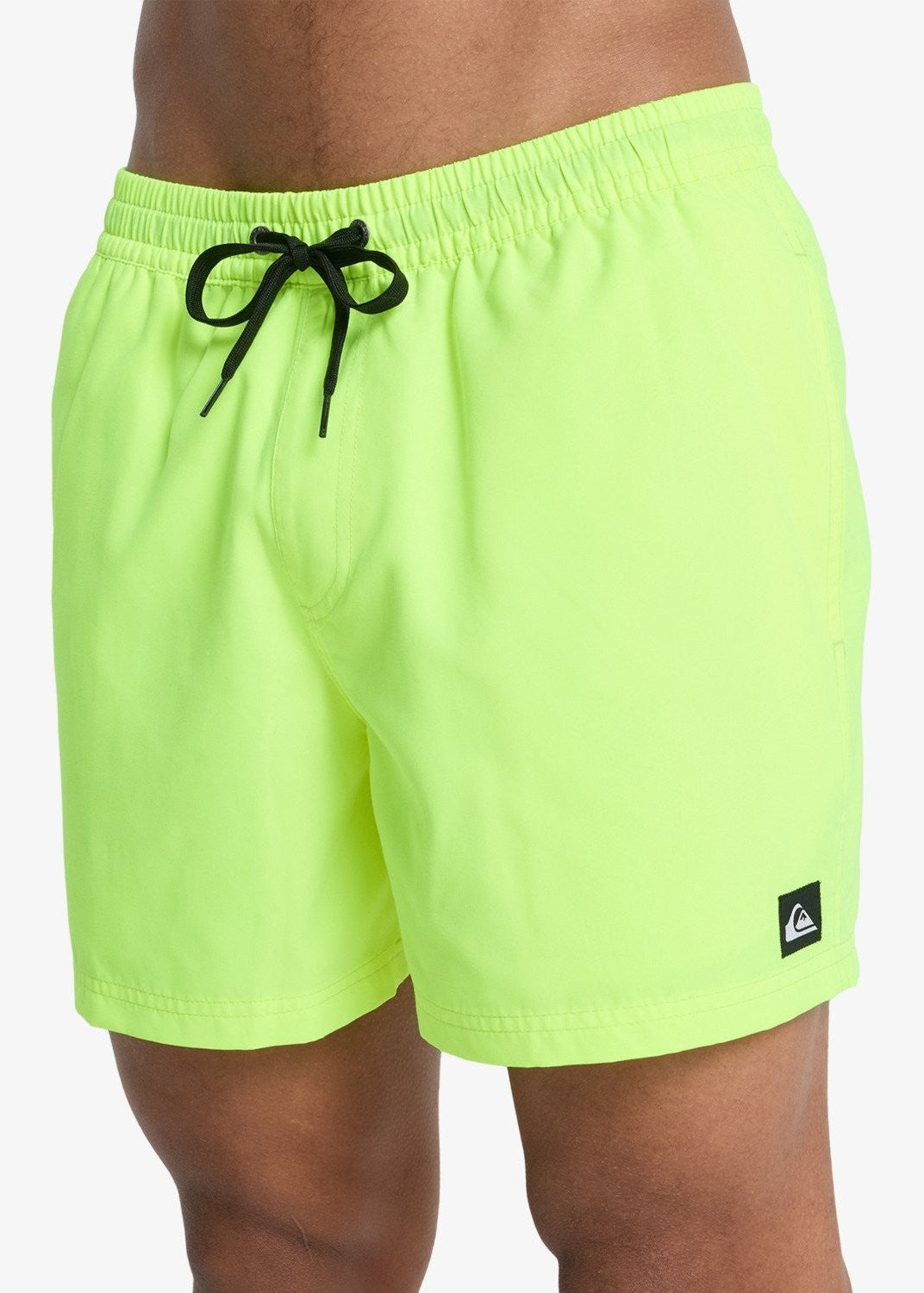 Quiksilver Men's Everyday Volley 15" Swim Shorts Swimsuit Swimming Costume BNWT