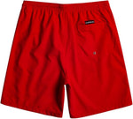 Quiksilver Men's Everyday Volley 15" Swim Shorts Swimsuit Swimming Costume BNWT