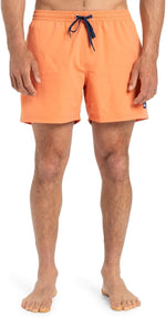 Quiksilver Men's Everyday Volley 15" Swim Shorts Swimsuit Swimming Costume BNWT