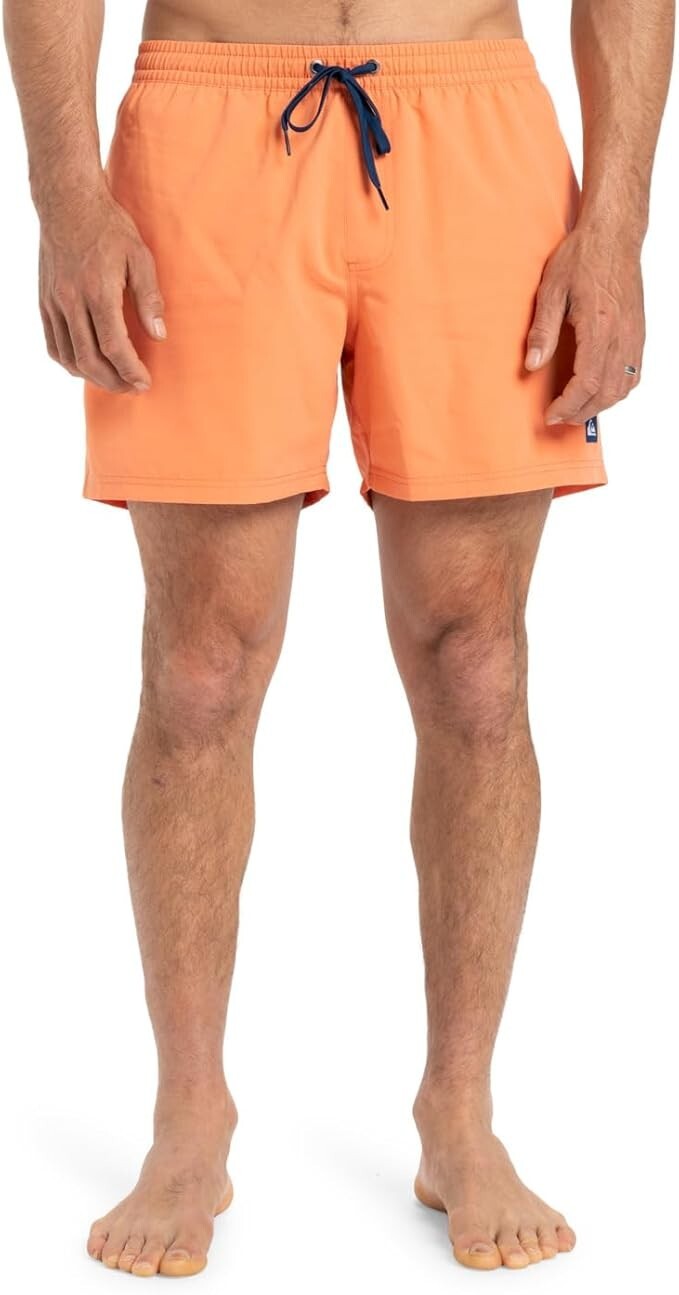 Quiksilver Men's Everyday Volley 15" Swim Shorts Swimsuit Swimming Costume BNWT