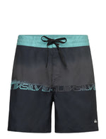 Quiksilver Men's Everyday Half Jam 16" Swim Shorts Swimming Costume Swimsuit