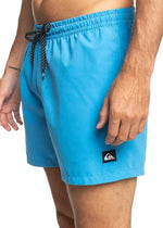 Quiksilver Men's Everyday Volley 15" Swim Shorts Swimsuit Swimming Costume BNWT