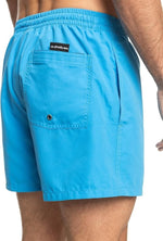 Quiksilver Men's Everyday Volley 15" Swim Shorts Swimsuit Swimming Costume BNWT