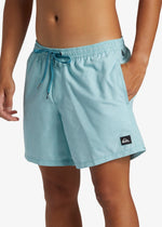 Quiksilver Men's Deluxe Volley 15" Swim Shorts Swimming Costume Swimsuit BNWT