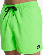 Quiksilver Men's Everyday Volley 15" Swim Shorts Swimsuit Swimming Costume BNWT