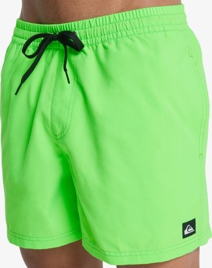 Quiksilver Men's Everyday Volley 15" Swim Shorts Swimsuit Swimming Costume BNWT