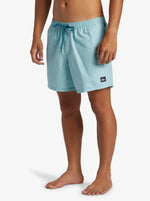 Quiksilver Men's Deluxe Volley 15" Swim Shorts Swimming Costume Swimsuit BNWT