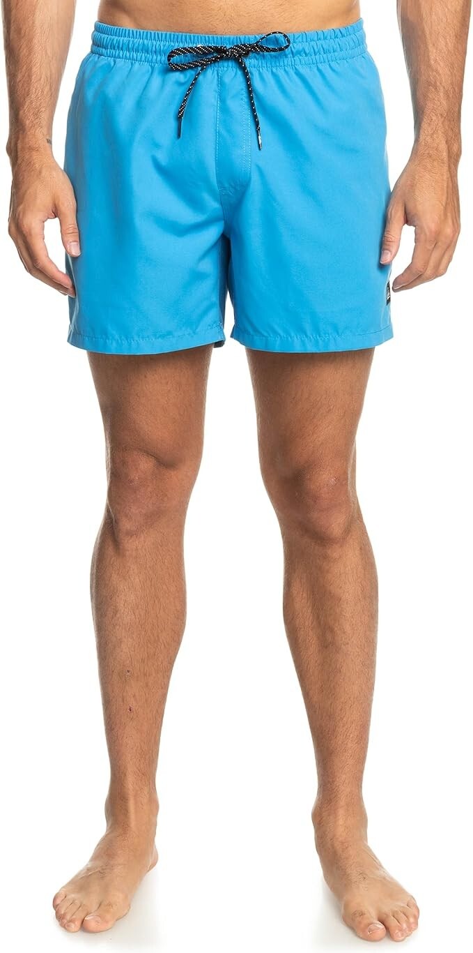 Quiksilver Men's Everyday Volley 15" Swim Shorts Swimsuit Swimming Costume BNWT