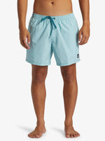 Quiksilver Men's Deluxe Volley 15" Swim Shorts Swimming Costume Swimsuit BNWT
