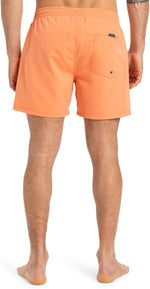 Quiksilver Men's Everyday Volley 15" Swim Shorts Swimsuit Swimming Costume BNWT