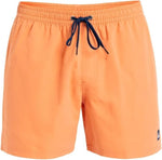 Quiksilver Men's Everyday Volley 15" Swim Shorts Swimsuit Swimming Costume BNWT
