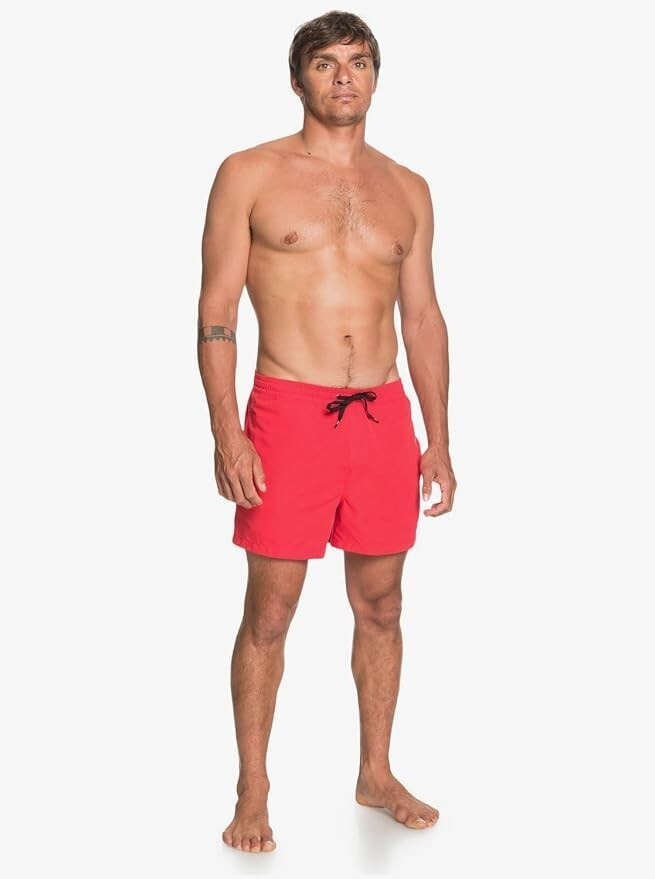 Quiksilver Men's Everyday Volley 15" Swim Shorts Swimsuit Swimming Costume BNWT