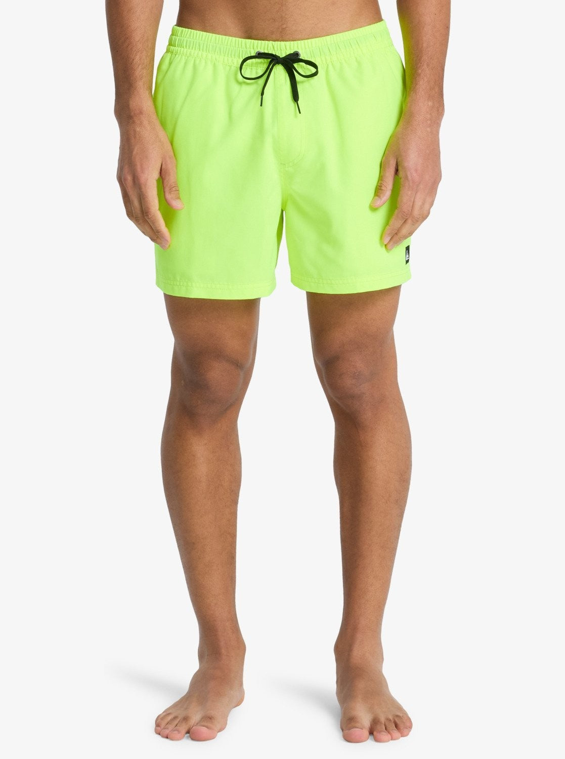 Quiksilver Men's Everyday Volley 15" Swim Shorts Swimsuit Swimming Costume BNWT